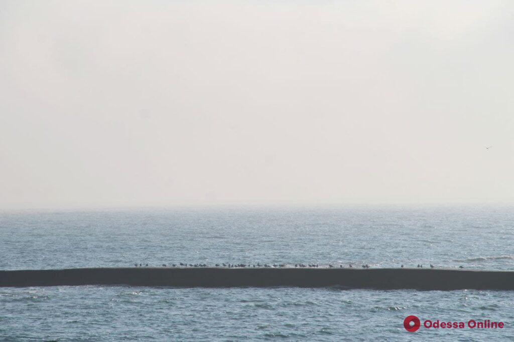 Море, солнце и туман: фотопрогулка по Фонтану