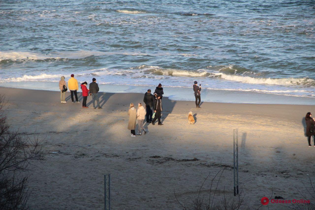 Сотни одесситов в солнечный ноябрьский день ринулись к морю (фоторепортаж)