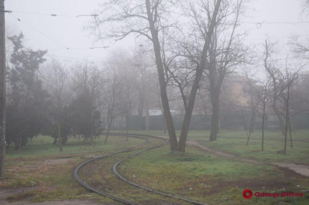 Туманное утро в Лузановке (фоторепортаж)