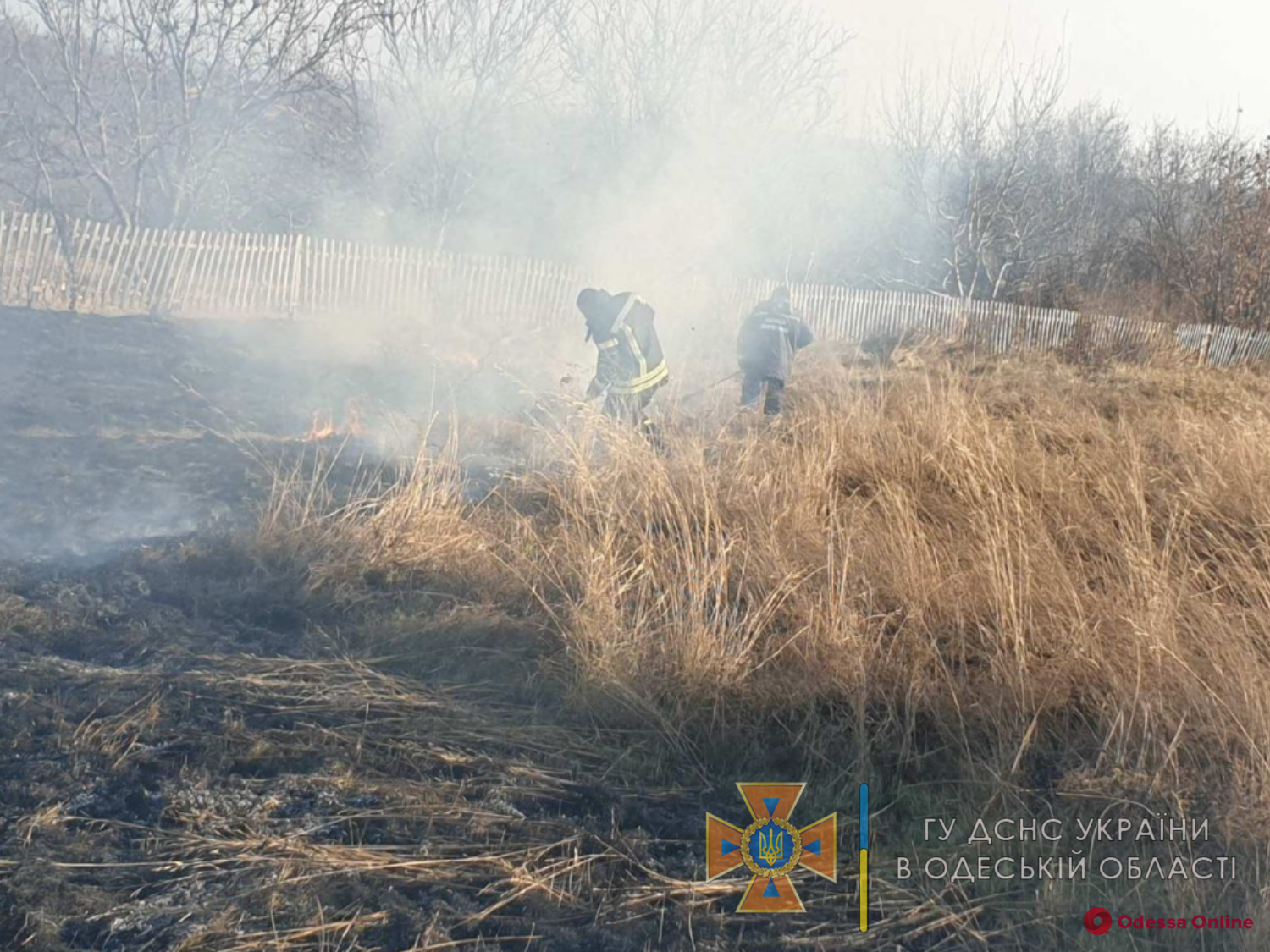 Огонь мог перекинуться на кладбище: в Одесской области тушили масштабный пожар