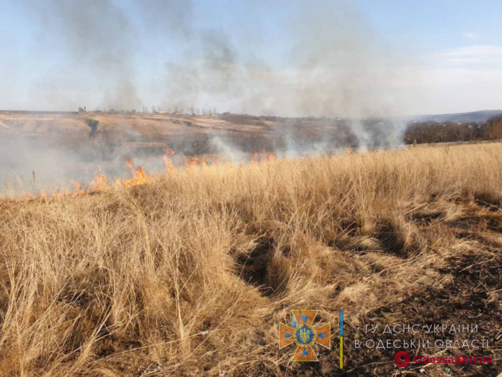 Огонь мог перекинуться на кладбище: в Одесской области тушили масштабный пожар