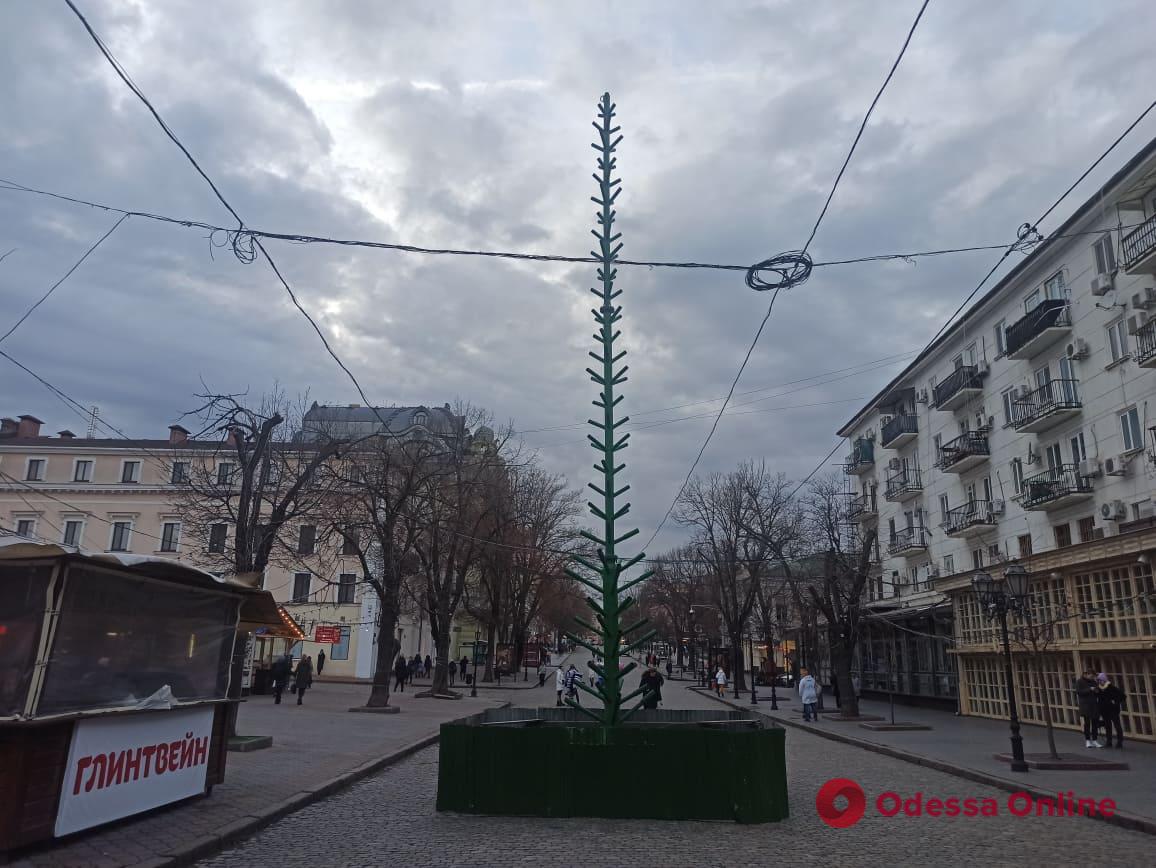На Дерибасовской начали устанавливать новогоднюю елку (фото)