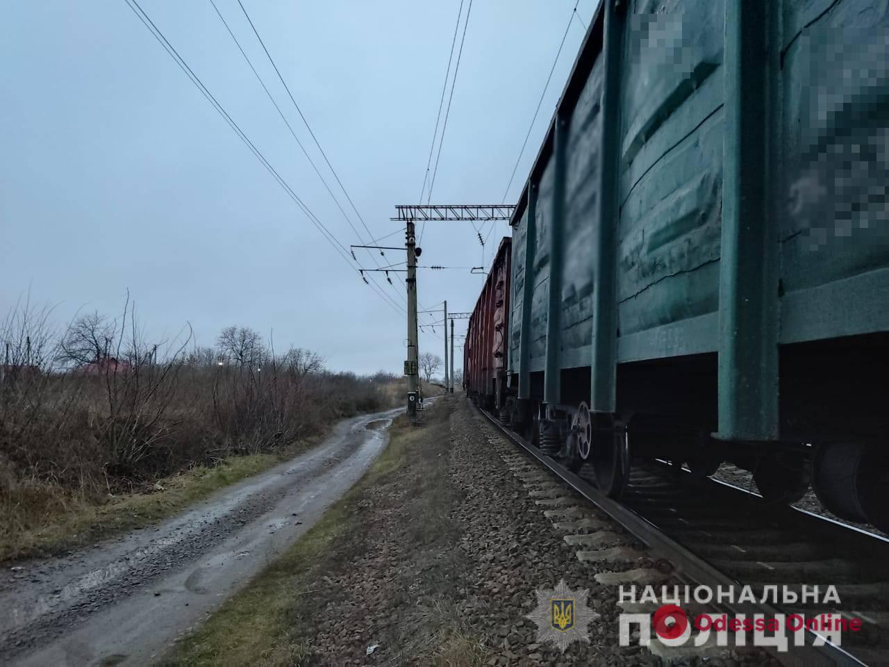 В Одесской области поезд сбил подростка