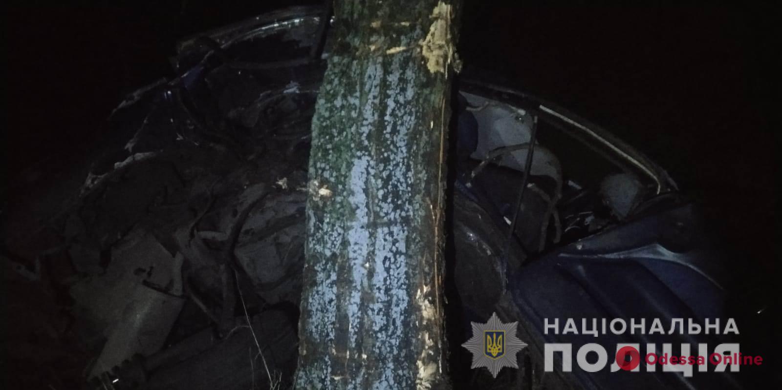 В Одесской области легковушка влетела в дерево – водитель погиб
