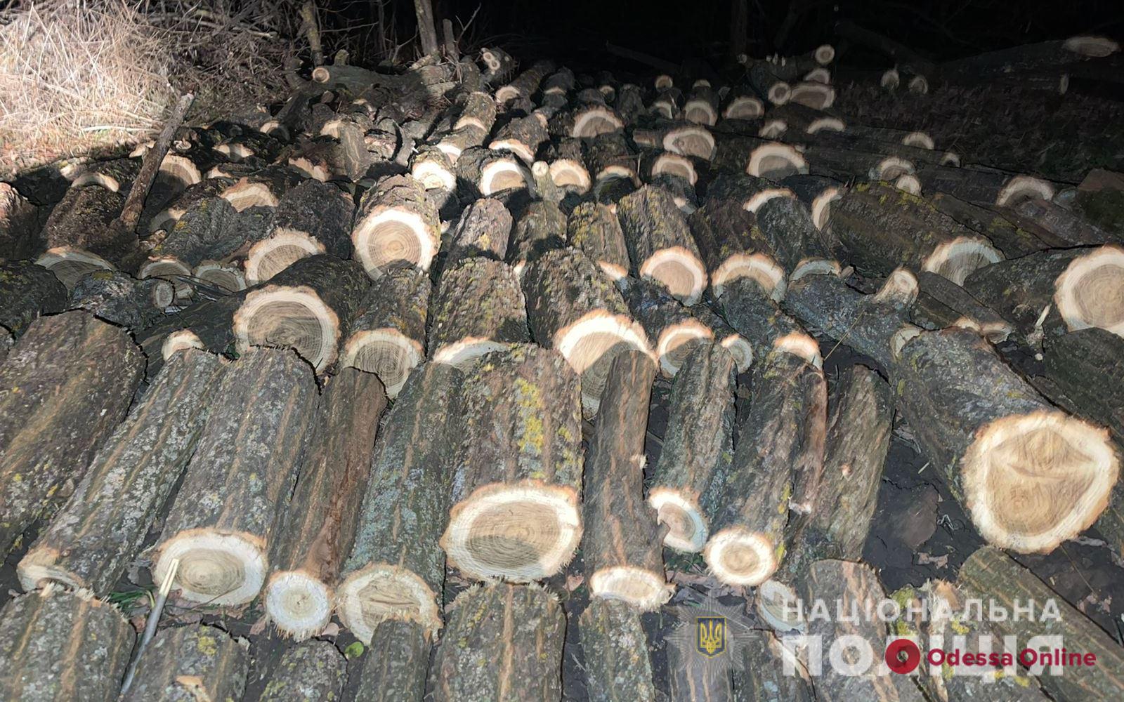 Спилил более сотни деревьев: в Одесской области задержали черного лесоруба