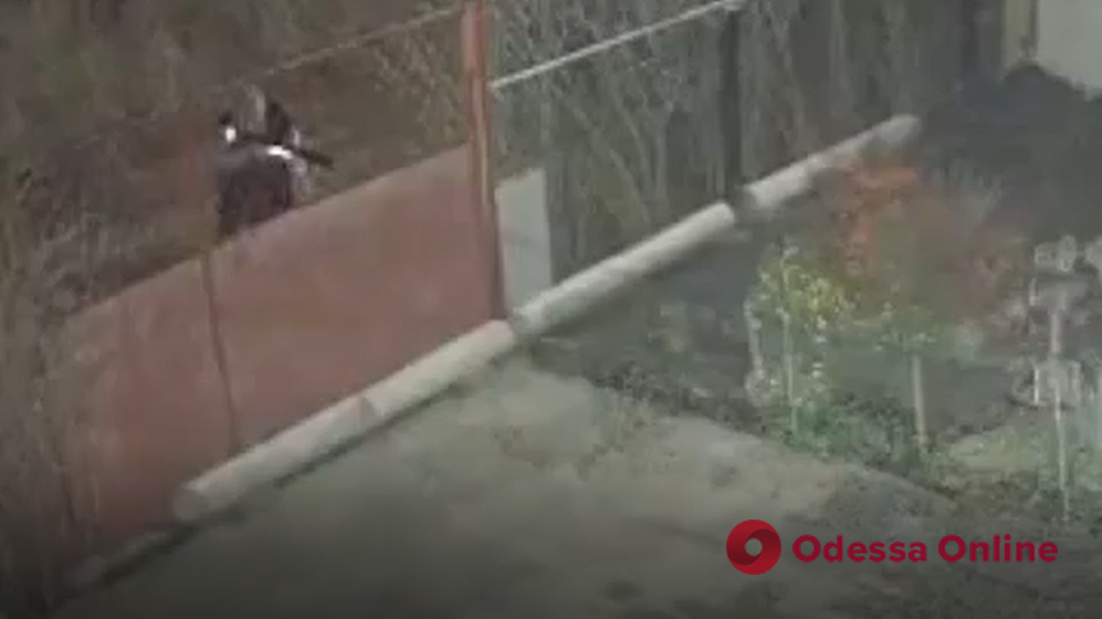 В Одесской области застрелили собак: владелец винит во всем соседей