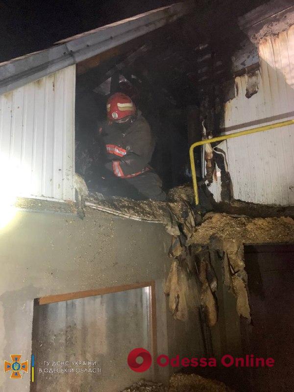 Под Одессой сгорела летняя кухня: пожарные успели спасти дом (фото)