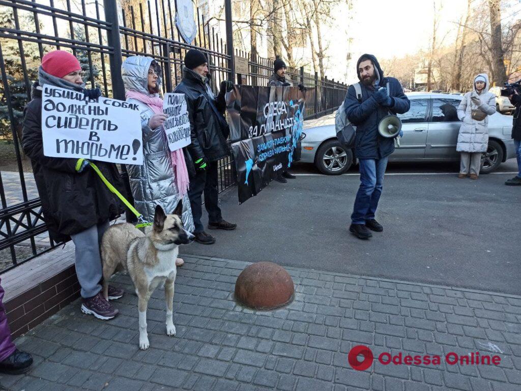 Зоозащитники требовали наказать виновных в расстреле собак под Одессой