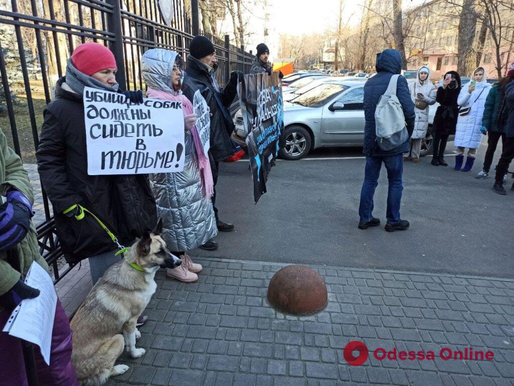 Зоозащитники требовали наказать виновных в расстреле собак под Одессой
