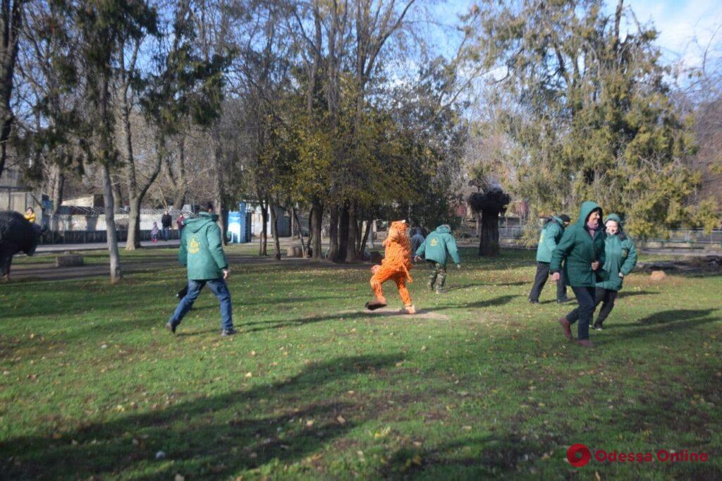 Тигр сбежал, но его поймали санитары: в Одесском зоопарке снимают новогодний клип