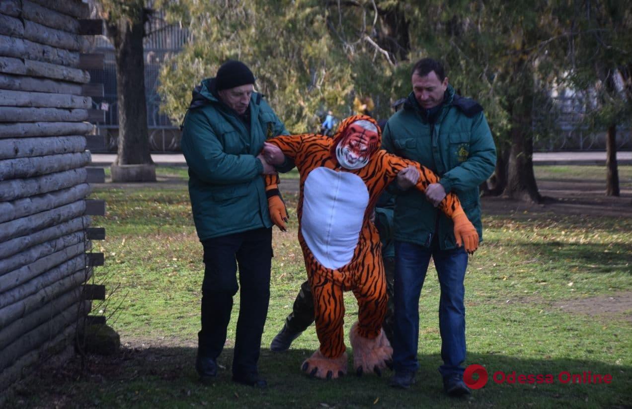 С переодеваниями, стрельбой и отсылкой к «Терминатору 2»: одесский зоопарк выпустил новогодний клип (видео)