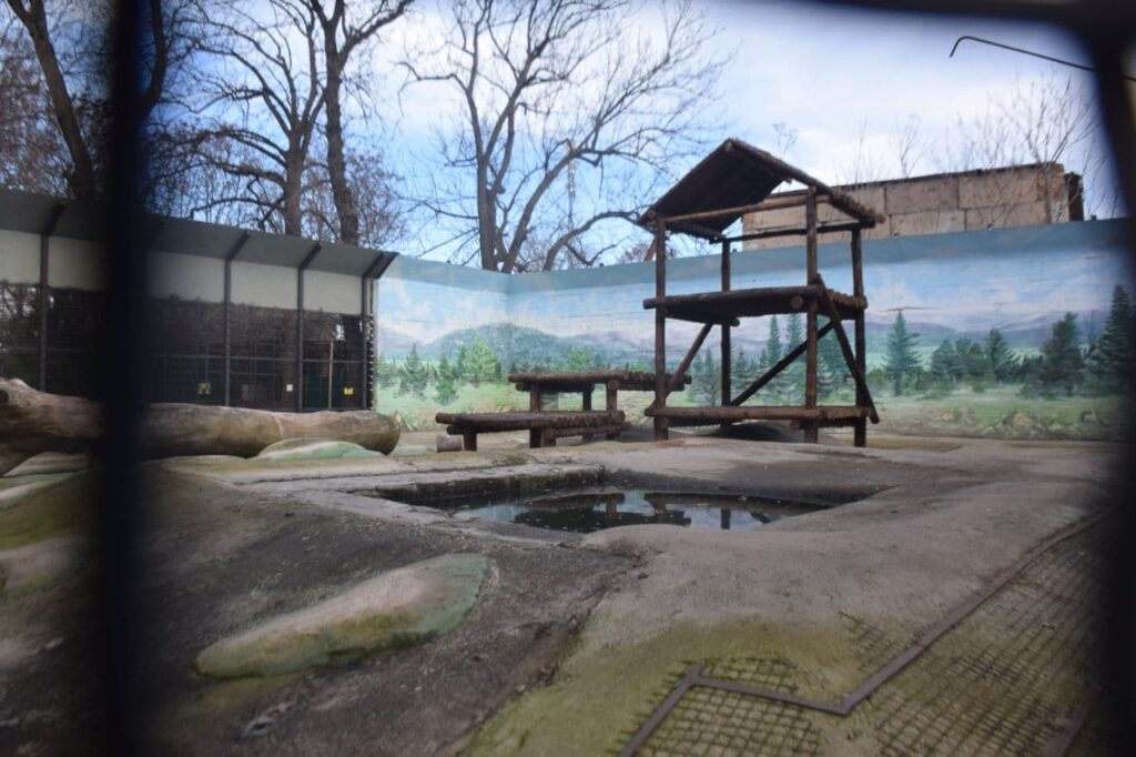 В Одесском зоопарке появилась площадка для медведей
