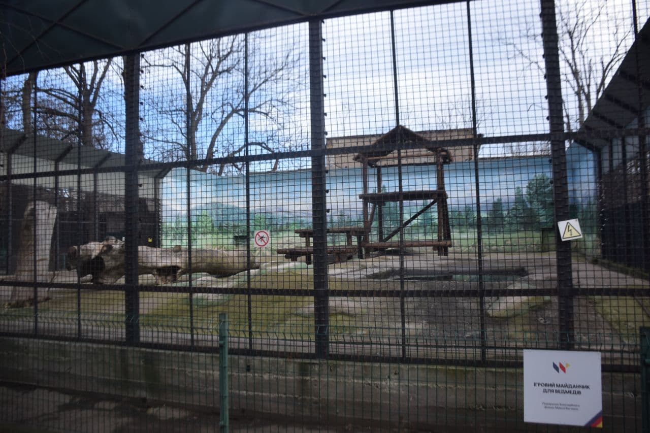 В Одесском зоопарке появилась площадка для медведей