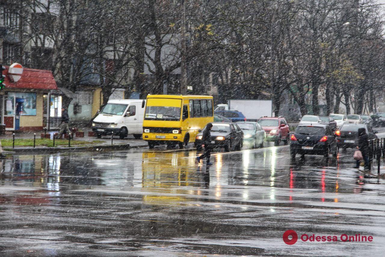Первый снег в Одессе (фоторепортаж)