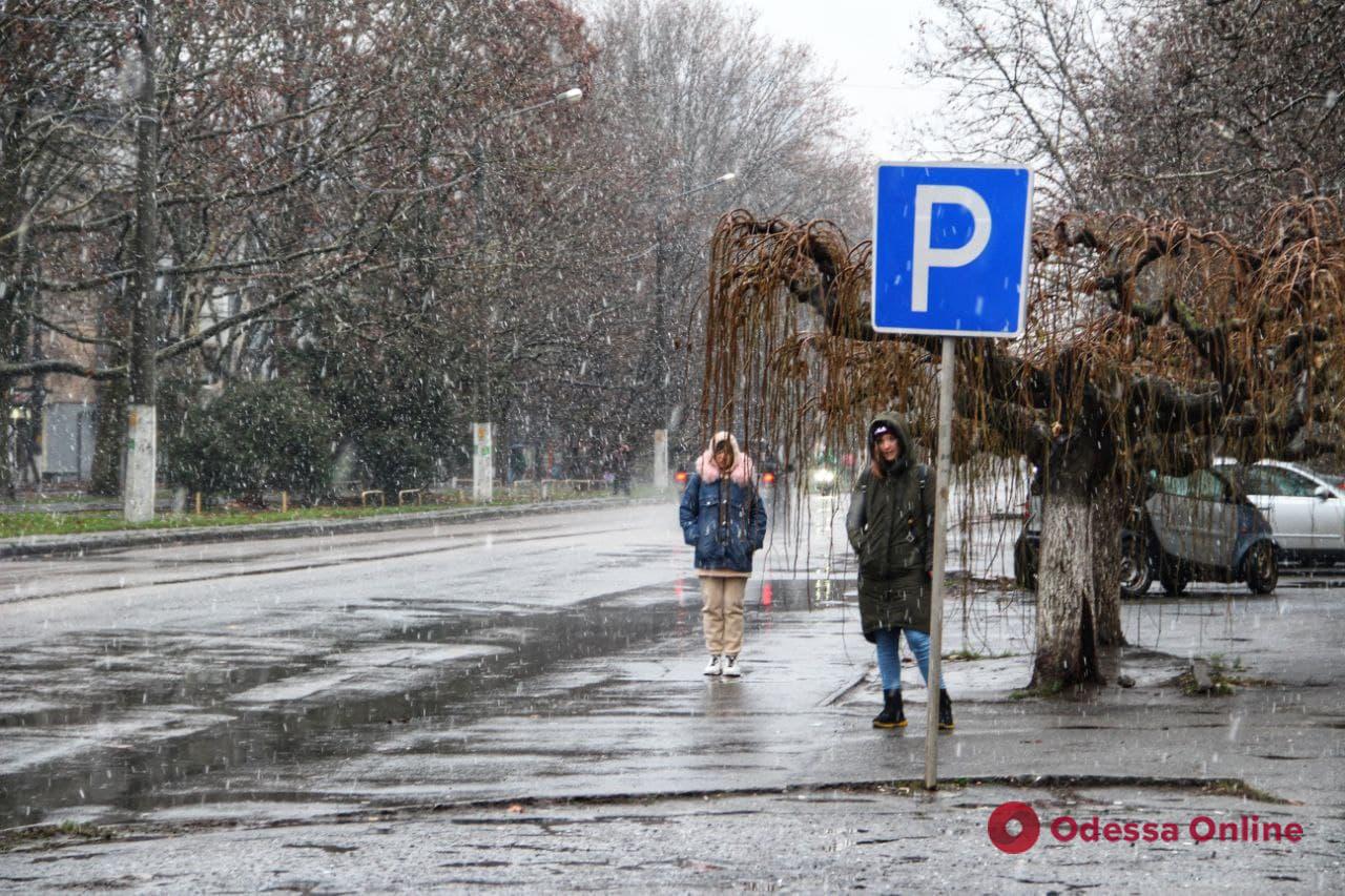 Первый снег в Одессе (фоторепортаж)