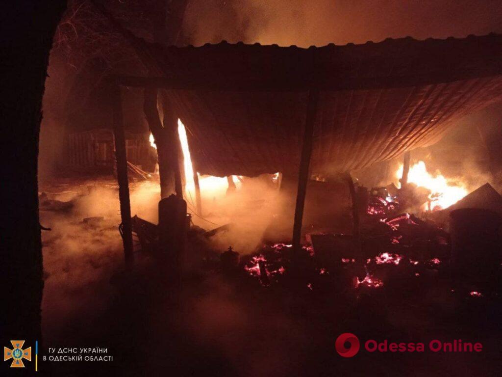 В Одесской области сгорел навес для хранения дров и автотехники