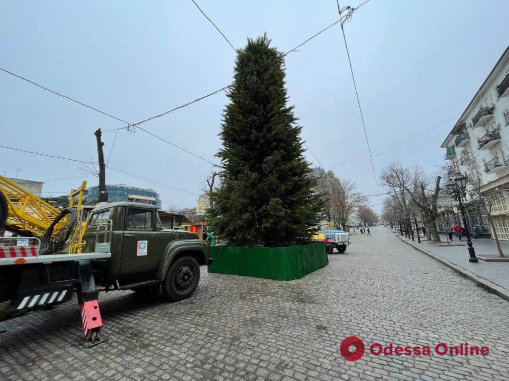 На Дерибасовской установили новогоднюю елку
