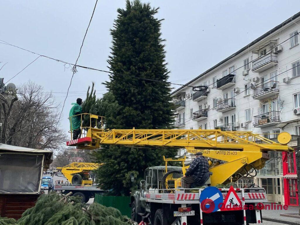 На Дерибасовской установили новогоднюю елку