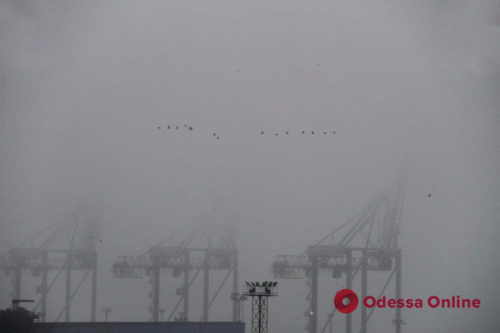Туманное утро на одесском побережье (фоторепортаж)