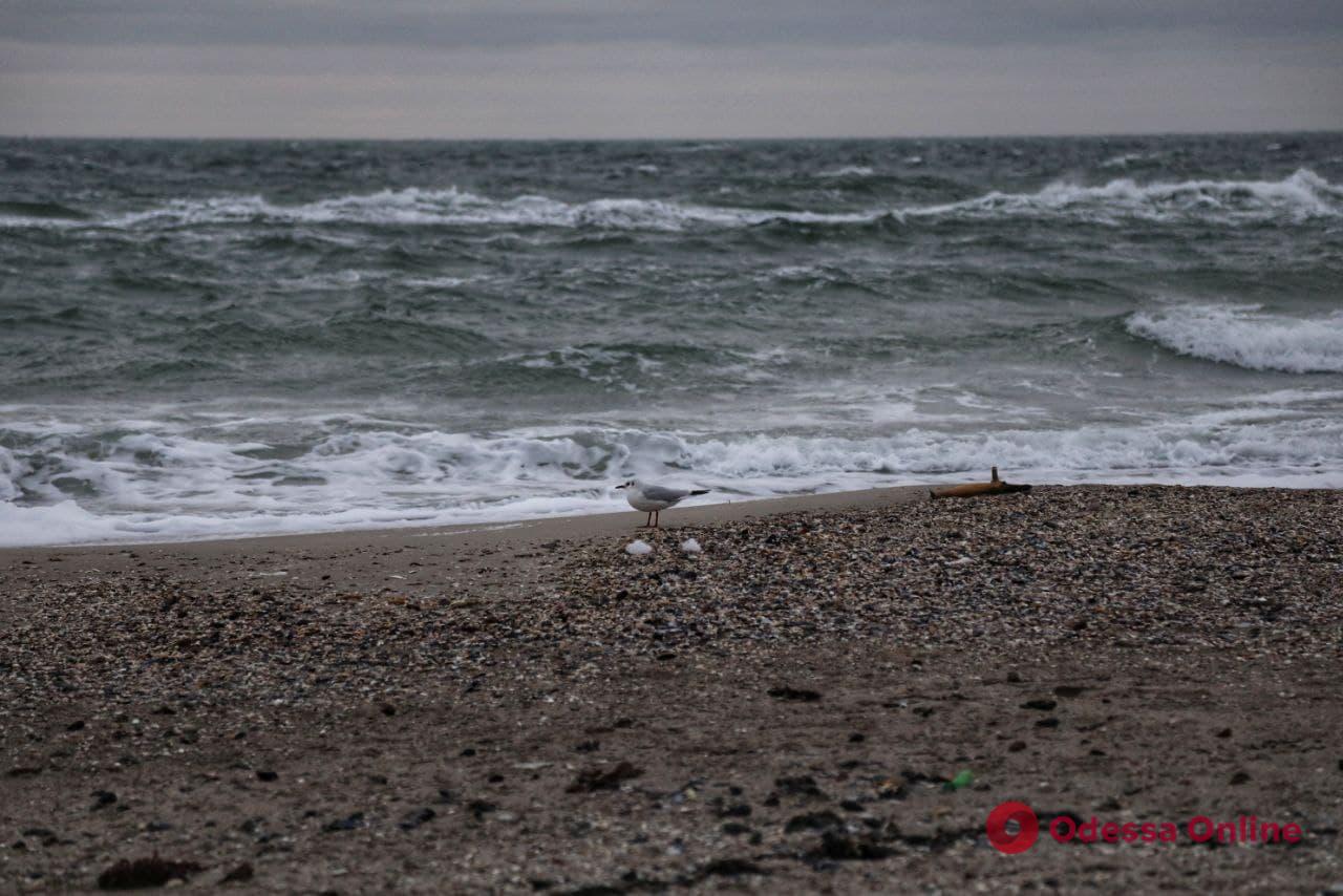 На одному з пляжів Одещини від підриву невідомого пристрою загинули двоє людей