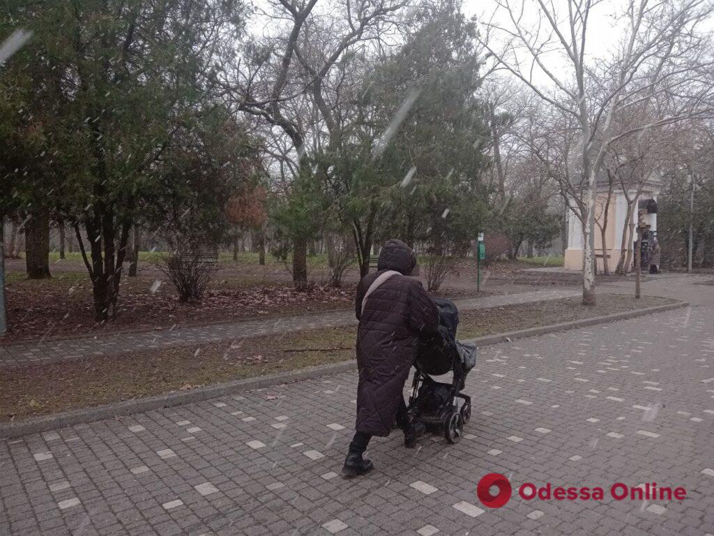 Таки зима: в Одессе пошел снег (фото, видео)