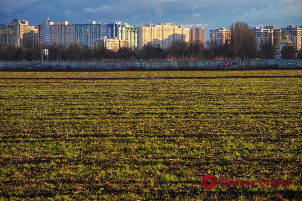 Зимний закат за городом (фоторепортаж)