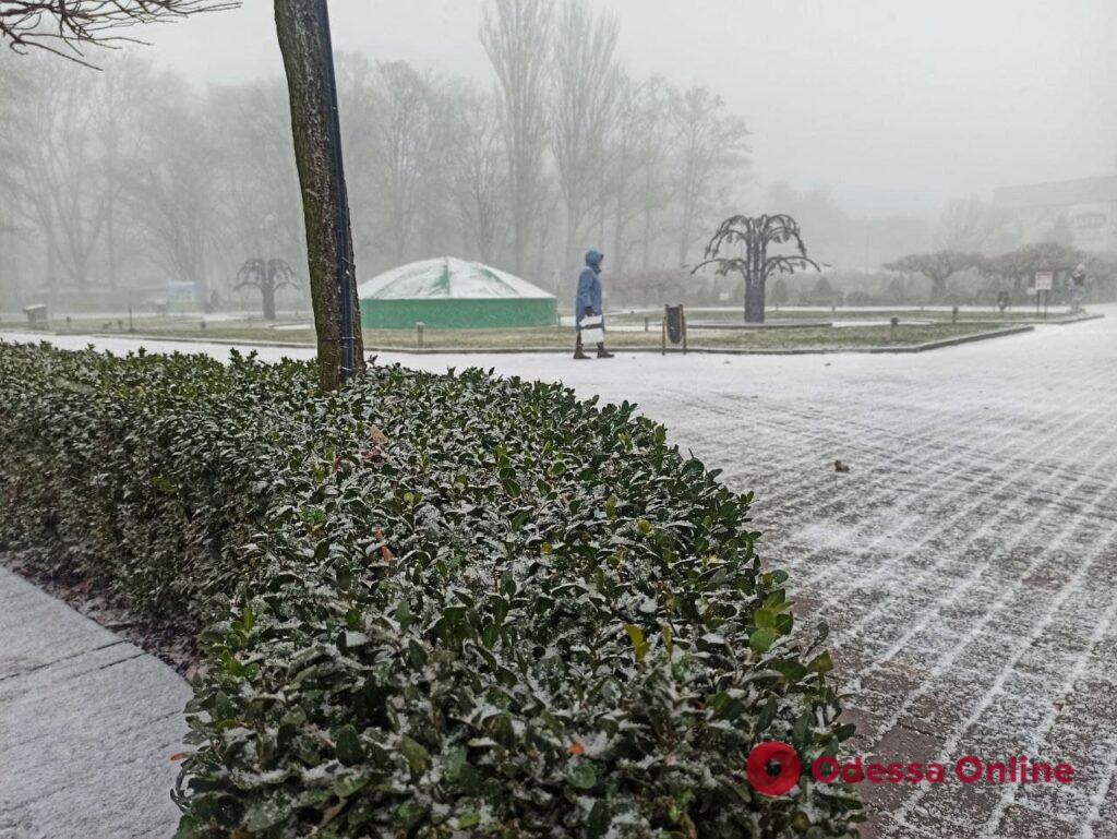 Настоящая зима: снежный парк Горького (фото, видео)