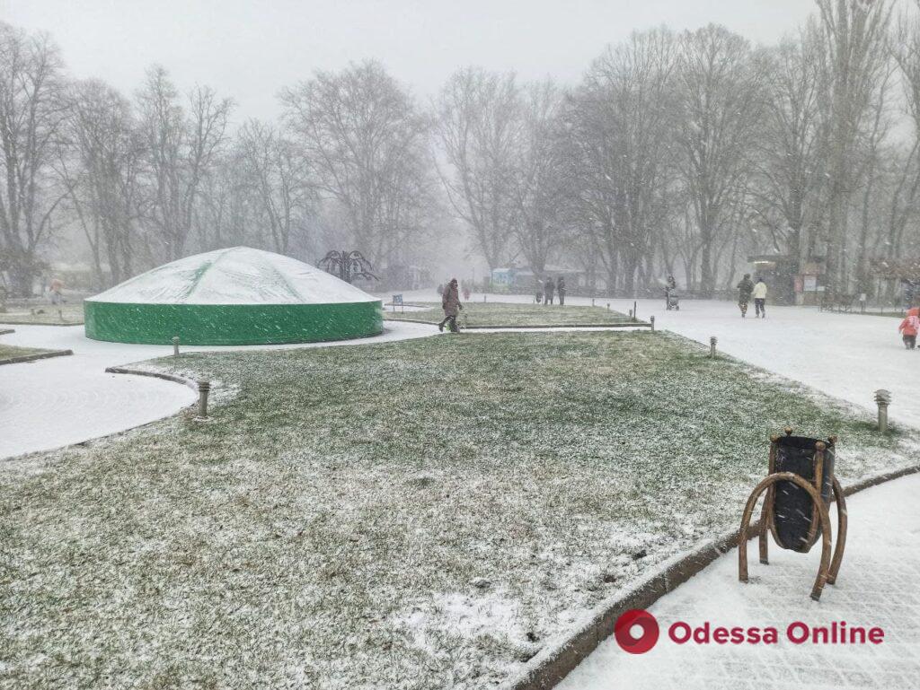 Настоящая зима: снежный парк Горького (фото, видео)
