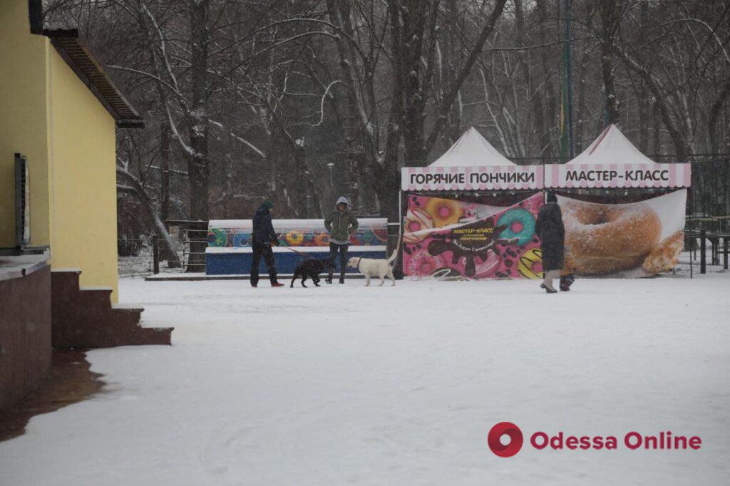 Снежная сказка на одесских Черемушках (фоторепортаж)