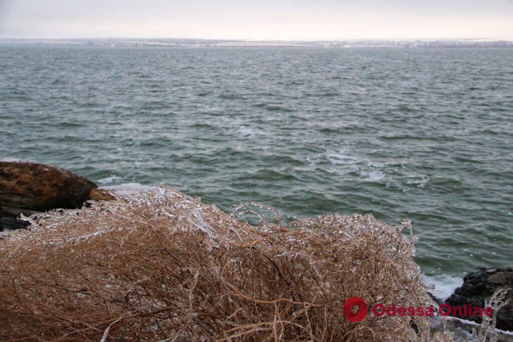 Зимнее побережье Хаджибея (фоторепортаж)