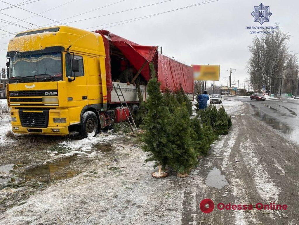 Одесские патрульные выписали 24 штрафа на продавцов нелегальных елок