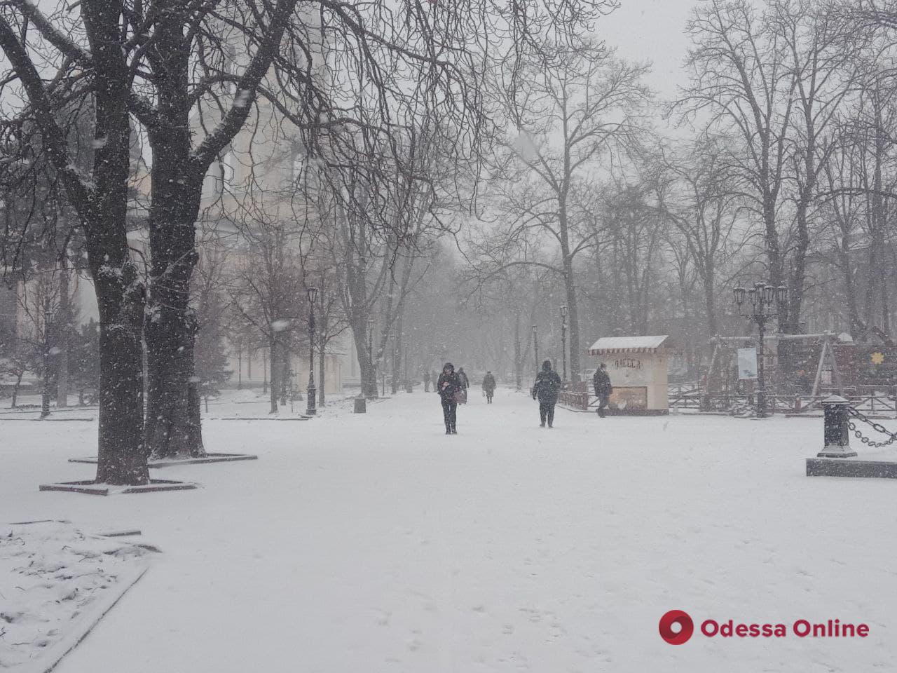 В Одессе ухудшается погода: горожан призывают сидеть дома