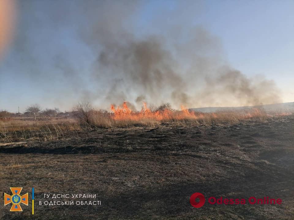 В Одесской области сгорело полтора гектара камыша