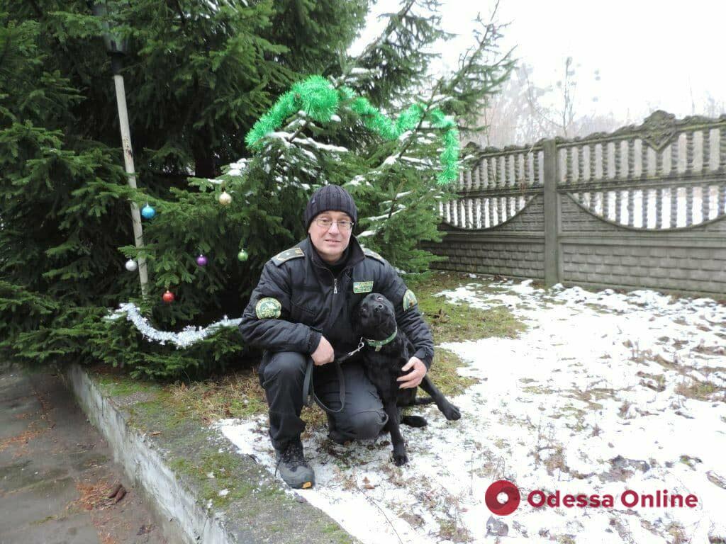 Служебные собаки таможни поздравили одесситов с Новым годом (фото)