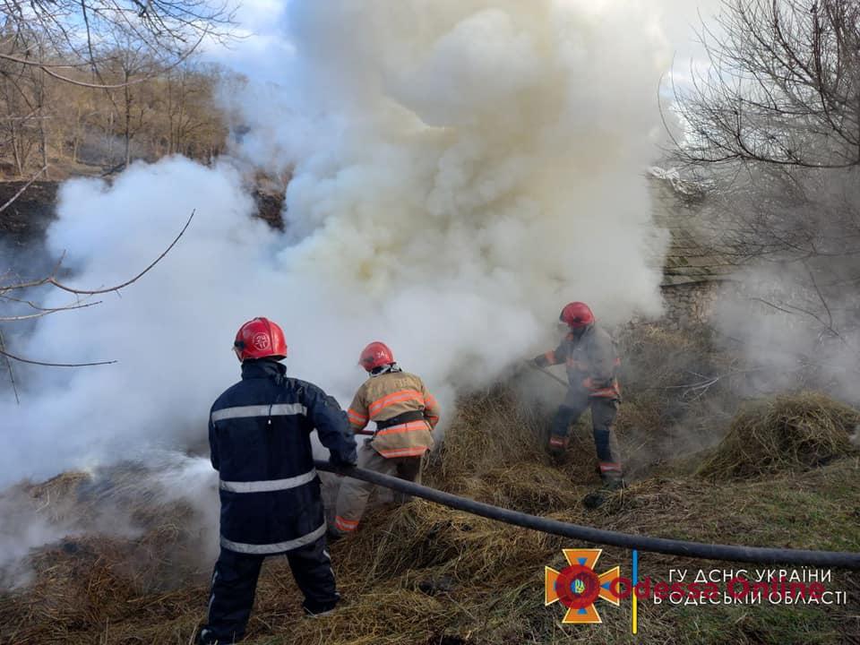 В селе Одесской области сгорело около трех тонн сена