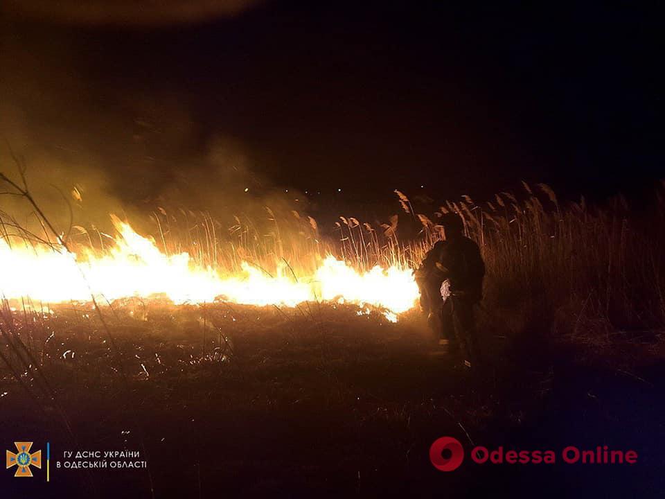 Огонь охватил три тысячи квадратных метров: в районе Хаджибейской дороги горели поля фильтрации