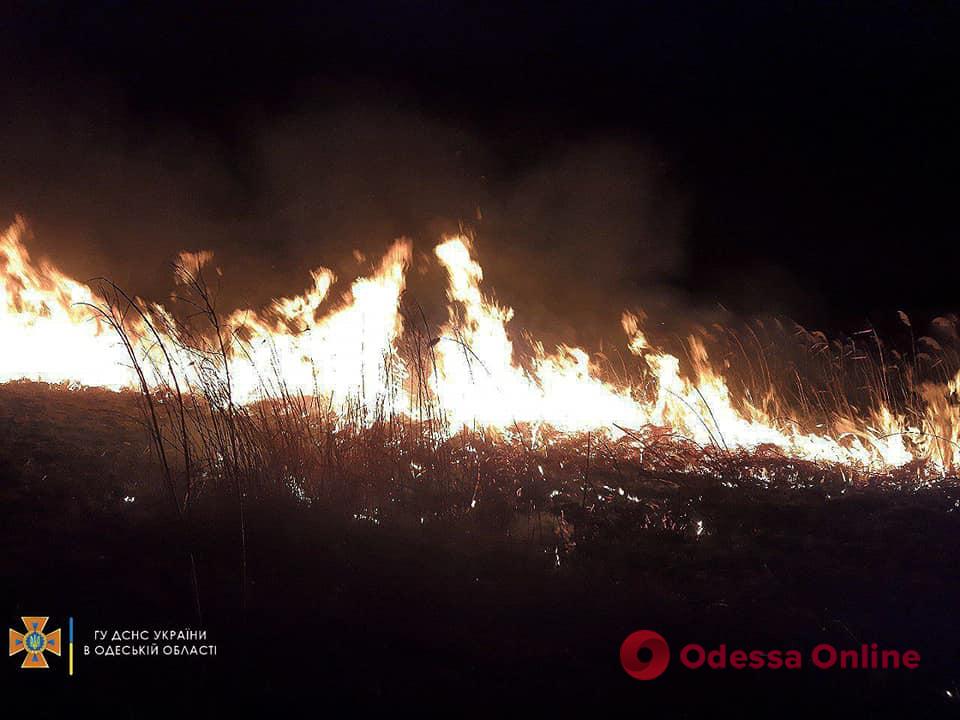 Огонь охватил три тысячи квадратных метров: в районе Хаджибейской дороги горели поля фильтрации
