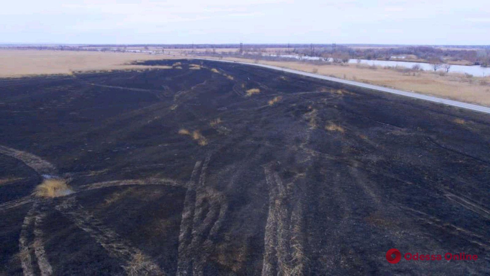 Убытки от пожара в Нижнеднестровском нацпарке составили полмиллиона гривен