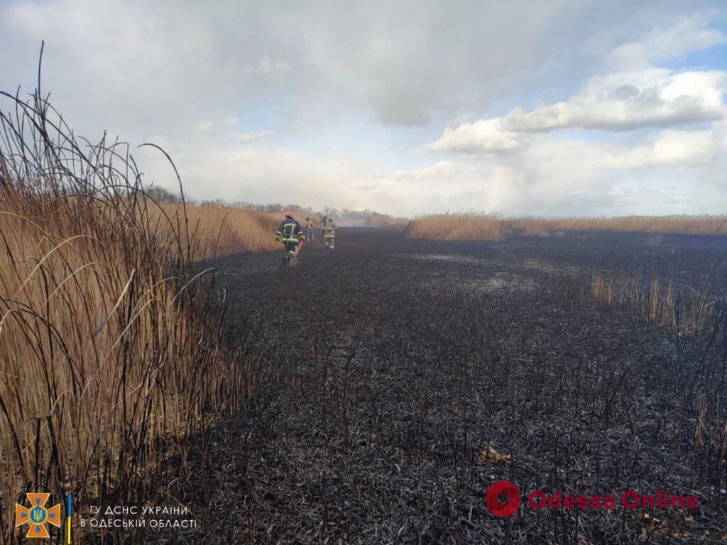 На Днестровском лимане горела сухая трава