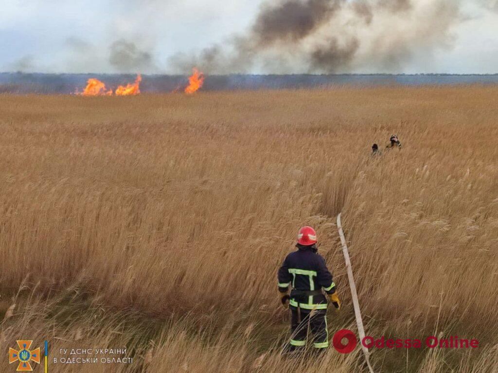 На Днестровском лимане горела сухая трава