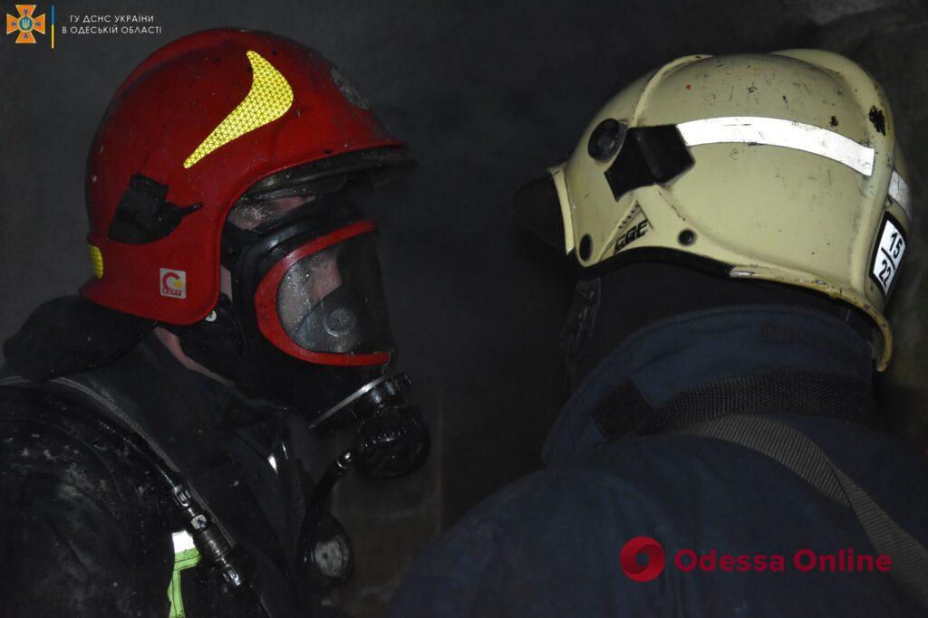 Пожар в центре Одессы: спасатели эвакуировали двух котов и собаку (фото)