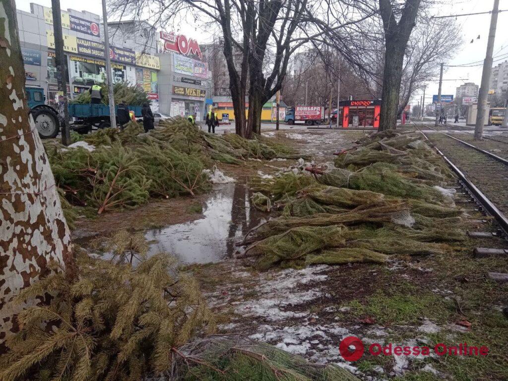 Одесские коммунальщики начали убирать с улиц нераспроданные елки
