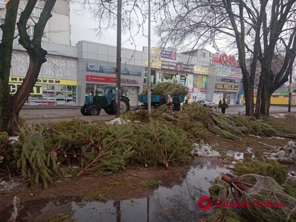 Одесские коммунальщики начали убирать с улиц нераспроданные елки