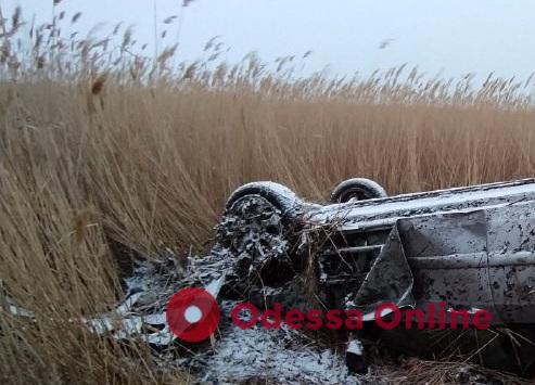 В Одесской области легковушка слетела со скользкой дороги в плавни — погибла пассажирка