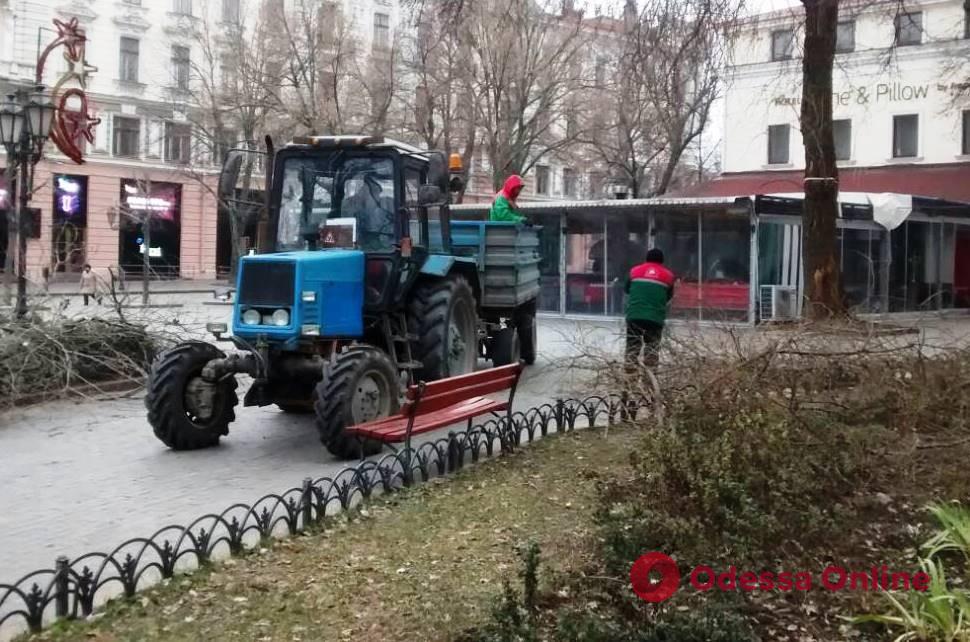 Одесские коммунальщики обрезали ветки в Горсаду