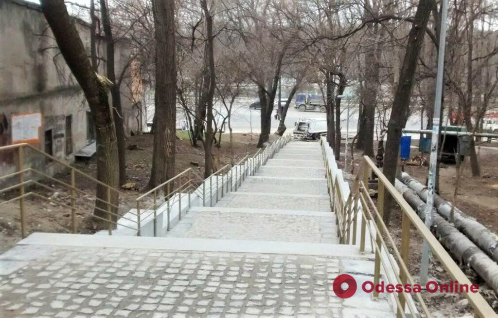 Одесские озеленители привели в надлежащий вид склоны возле Курсантской лестницы