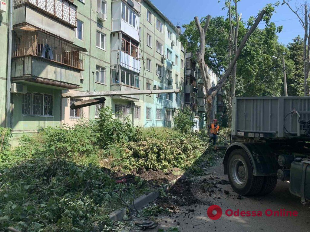 За год в Одессе заменили 669 уличных электроопор