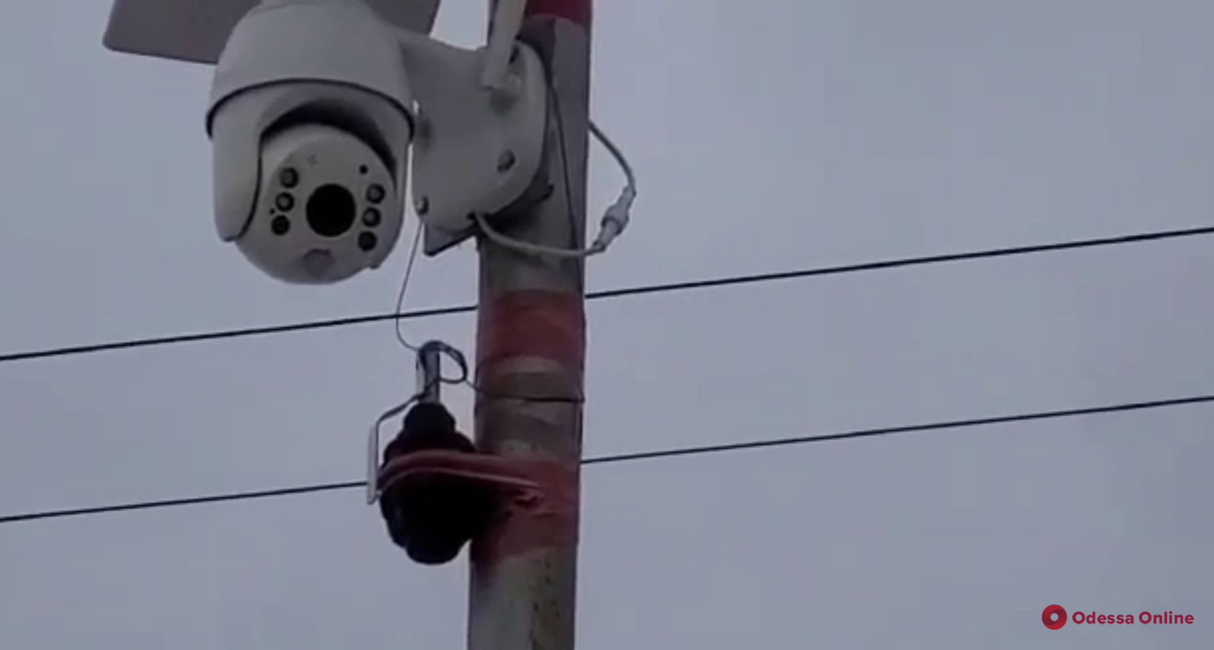 Житель Одесской области развесил муляжи гранат на столбах, чтобы отпугнуть воров