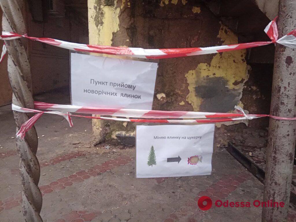 В Одессе заработали площадки для сбора новогодних елок (адреса)