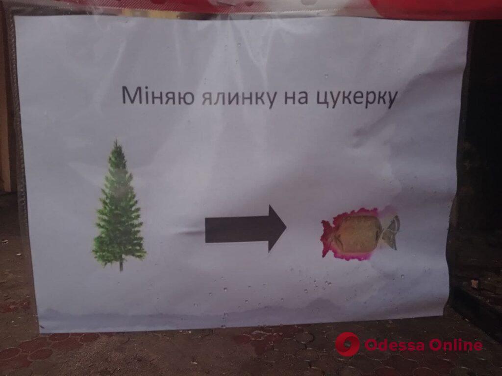 В Одессе заработали площадки для сбора новогодних елок (адреса)